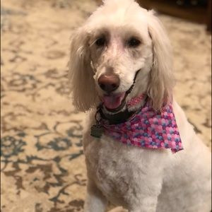 Meet your Posher, Vicki